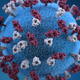 Measles has been eradicated in the US, but cases continue to be imported in from elsewhere.
